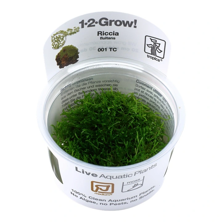 Tropica Riccia fluitans 1-2-GROW
